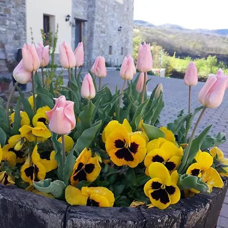 Farmház Poggio D'incanto *