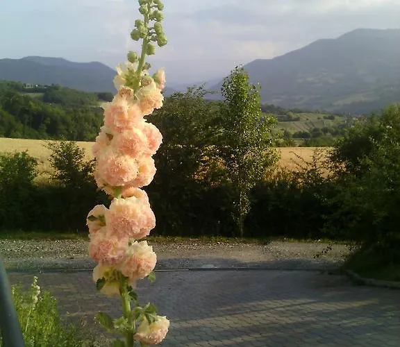 Lantgård Poggio D'incanto