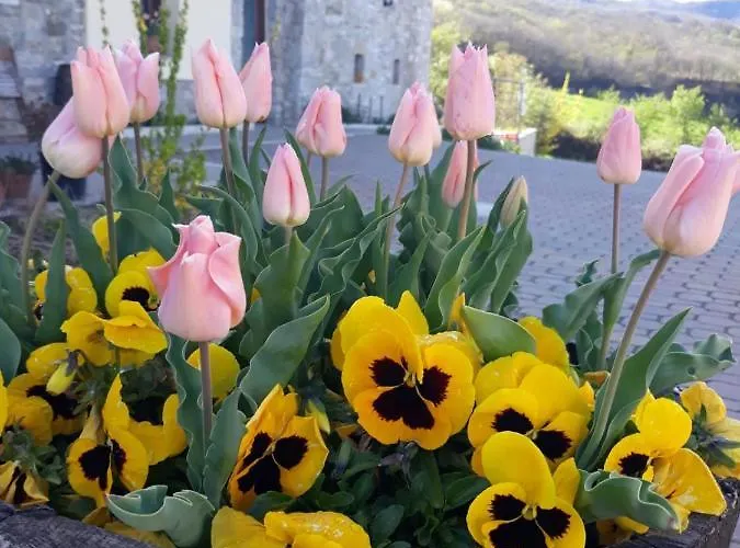 ファームステイ Poggio D'incanto *